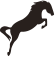 jump to top